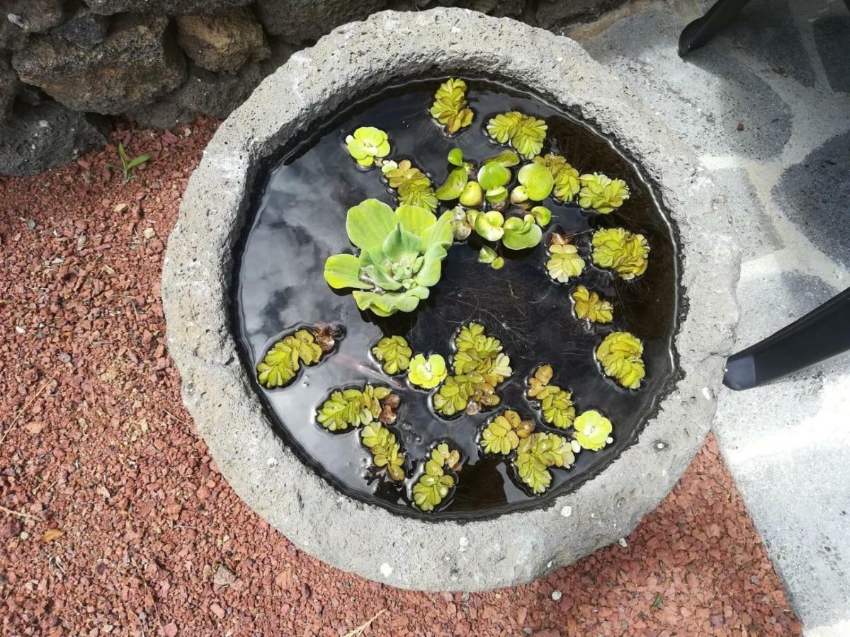 Casa Das Sereias Rabo de Peixe Экстерьер фото